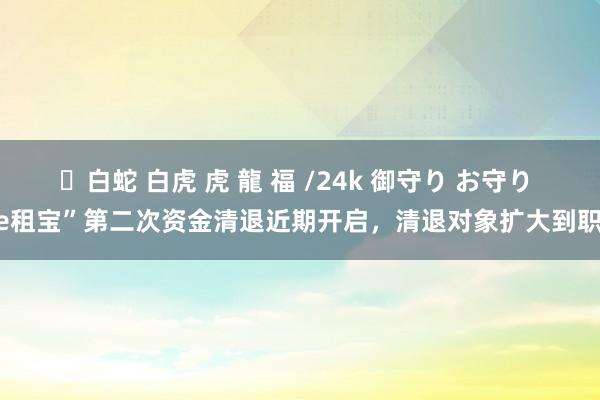 ✨白蛇 白虎 虎 龍 福 /24k 御守り お守り “e租宝”第二次资金清退近期开启，清退对象扩大到职工
