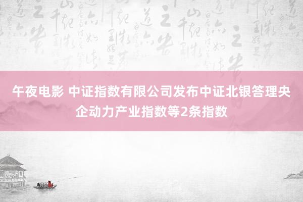 午夜电影 中证指数有限公司发布中证北银答理央企动力产业指数等2条指数